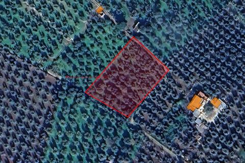 Helårsgrund i Ischitella, Foggia, Ischitella - € 19.000 | Ref: V000734 - foto 15