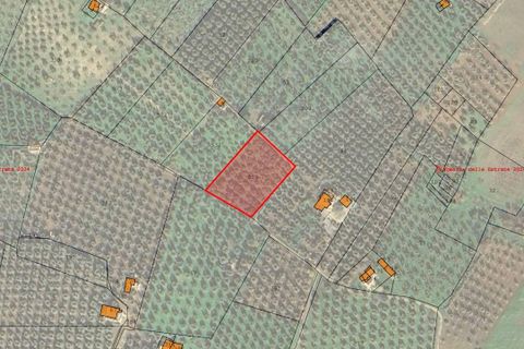 Helårsgrund i Ischitella, Foggia, Ischitella - € 19.000 | Ref: V000734 - foto 16