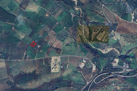 Helårsgrund i Ischitella, Foggia, Ischitella - € 19.000 | Ref: V000734 - foto 17