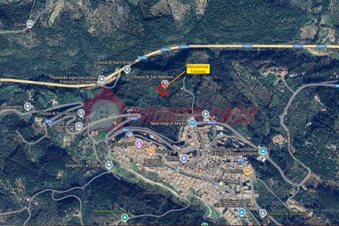 Terra a Ischitella, Foggia, Ischitella - € 11.000 | Ref: V000735 - foto 2