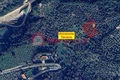 Terra a Ischitella, Foggia, Ischitella - € 11.000 | Ref: V000735 - foto 3