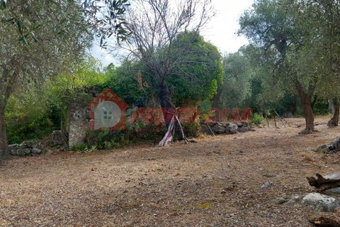 Terra a Ischitella, Foggia, Ischitella - € 11.000 | Ref: V000735 - foto 7