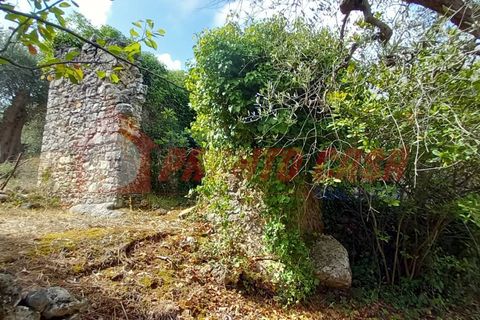Terra a Ischitella, Foggia, Ischitella - € 11.000 | Ref: V000735 - foto 9
