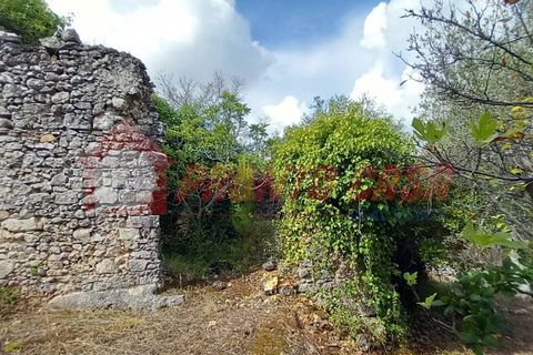 Terra a Ischitella, Foggia, Ischitella - € 11.000 | Ref: V000735 - foto 10
