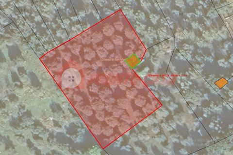 Terra a Ischitella, Foggia, Ischitella - € 11.000 | Ref: V000735 - foto 20