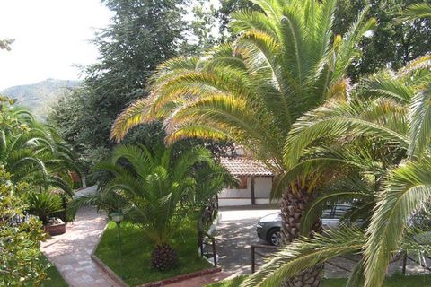 Villa i Centola, Salerno, Centola - € 795.000 | Ref: 22117 - foto 16