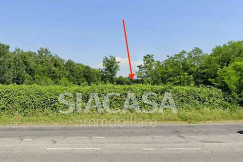Helårsgrund i Bellusco, Monza and Brianza, Bellusco - € 90.000 | Ref: TERRENO.BELLUSCO-TD90V - foto 4