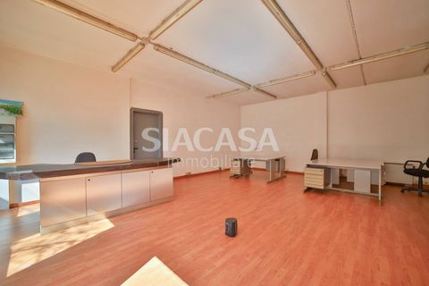 Erhvervsejendom i Segrate, Milan, Segrate - € 450.000 | Ref: CAP.SEGRATE-TS450V - foto 3