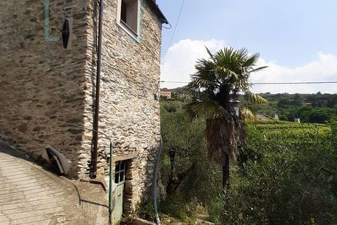 Landejendom i Ranzo, Imperia, Ranzo - € 90.000 | Ref: 501 - foto 2