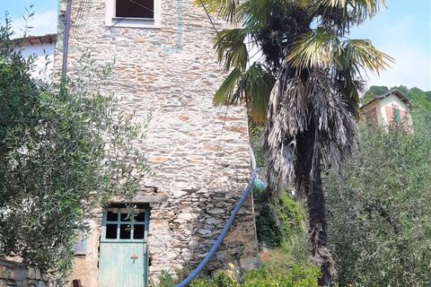 Landejendom i Ranzo, Imperia, Ranzo - € 90.000 | Ref: 501 - foto 1