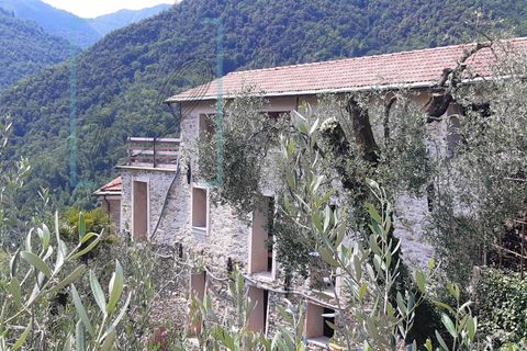 Landejendom i Ranzo, Imperia, Ranzo - € 90.000 | Ref: 501 - foto 4