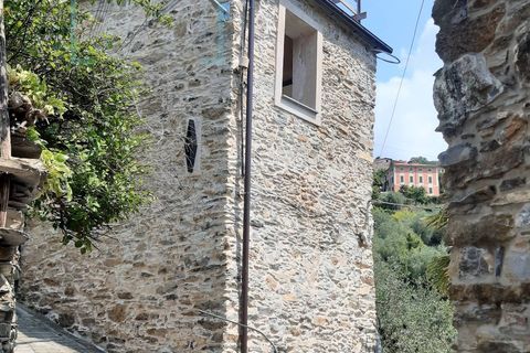 Landejendom i Ranzo, Imperia, Ranzo - € 90.000 | Ref: 501 - foto 5