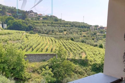 Landejendom i Ranzo, Imperia, Ranzo - € 90.000 | Ref: 501 - foto 19