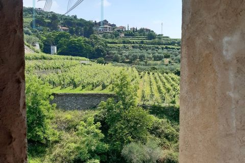 Landejendom i Ranzo, Imperia, Ranzo - € 90.000 | Ref: 501 - foto 24