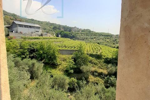 Landejendom i Ranzo, Imperia, Ranzo - € 90.000 | Ref: 501 - foto 26