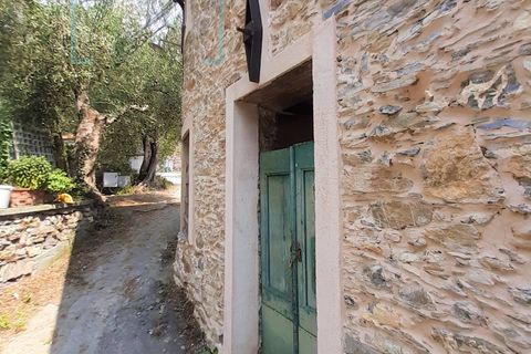 Landejendom i Ranzo, Imperia, Ranzo - € 90.000 | Ref: 501 - foto 31