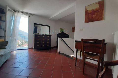 Landejendom i Rezzo, Imperia, Rezzo - € 93.000 | Ref: 750 - foto 20