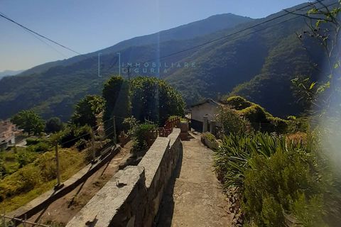 Landejendom i Rezzo, Imperia, Rezzo - € 93.000 | Ref: 750 - foto 27