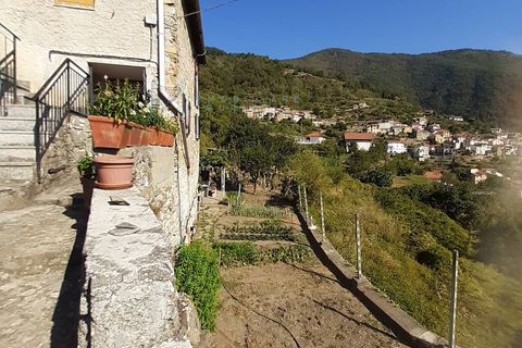Landejendom i Rezzo, Imperia, Rezzo - € 93.000 | Ref: 750 - foto 28