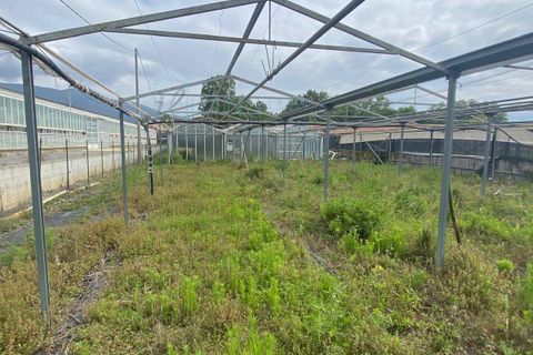 Terra a Albenga, Savona, Albenga - € 80.000 | Ref: 832 - foto 2