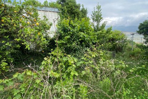 Terra a Albenga, Savona, Albenga - € 80.000 | Ref: 832 - foto 5
