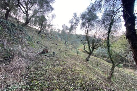 Helårsgrund i Albenga, Savona, Albenga - € 60.000 | Ref: 856 - foto 1