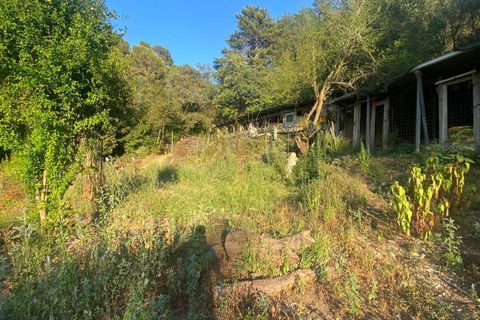 Helårsgrund i Albenga, Savona, Albenga - € 60.000 | Ref: 856 - foto 3
