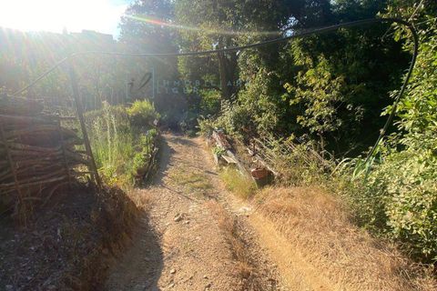 Helårsgrund i Albenga, Savona, Albenga - € 60.000 | Ref: 856 - foto 8