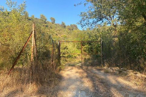 Helårsgrund i Albenga, Savona, Albenga - € 60.000 | Ref: 856 - foto 15