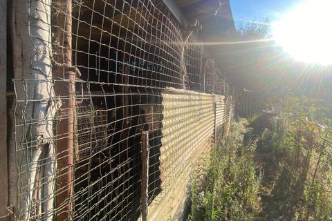 Helårsgrund i Albenga, Savona, Albenga - € 60.000 | Ref: 856 - foto 16