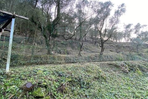 Helårsgrund i Albenga, Savona, Albenga - € 60.000 | Ref: 856 - foto 18