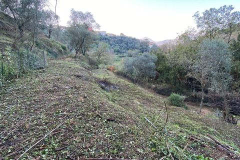 Helårsgrund i Albenga, Savona, Albenga - € 60.000 | Ref: 856 - foto 19