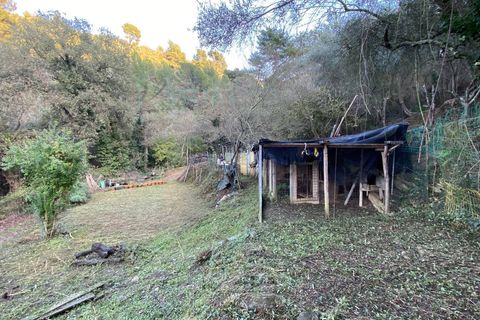 Helårsgrund i Albenga, Savona, Albenga - € 60.000 | Ref: 856 - foto 20
