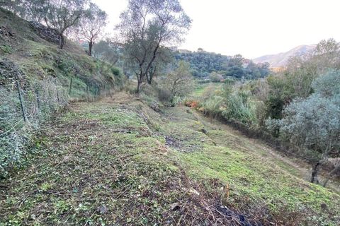 Helårsgrund i Albenga, Savona, Albenga - € 60.000 | Ref: 856 - foto 21