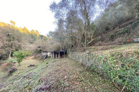 Helårsgrund i Albenga, Savona, Albenga - € 60.000 | Ref: 856 - foto 22
