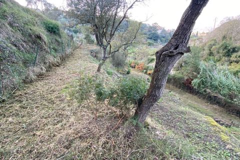Helårsgrund i Albenga, Savona, Albenga - € 60.000 | Ref: 856 - foto 23
