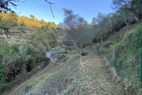 Helårsgrund i Albenga, Savona, Albenga - € 60.000 | Ref: 856 - foto 24