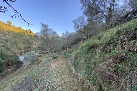 Helårsgrund i Albenga, Savona, Albenga - € 60.000 | Ref: 856 - foto 25