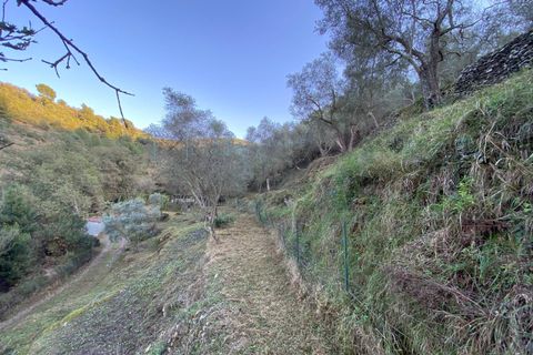 Helårsgrund i Albenga, Savona, Albenga - € 60.000 | Ref: 856 - foto 26