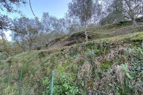 Helårsgrund i Albenga, Savona, Albenga - € 60.000 | Ref: 856 - foto 27