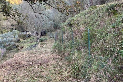 Helårsgrund i Albenga, Savona, Albenga - € 60.000 | Ref: 856 - foto 29