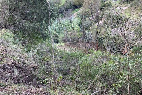 Helårsgrund i Albenga, Savona, Albenga - € 60.000 | Ref: 856 - foto 30