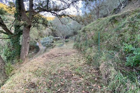 Helårsgrund i Albenga, Savona, Albenga - € 60.000 | Ref: 856 - foto 31