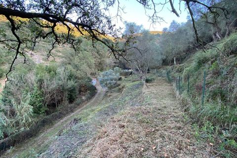 Helårsgrund i Albenga, Savona, Albenga - € 60.000 | Ref: 856 - foto 32