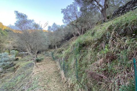 Helårsgrund i Albenga, Savona, Albenga - € 60.000 | Ref: 856 - foto 33