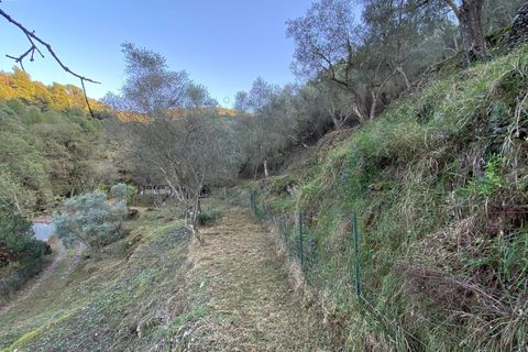 Helårsgrund i Albenga, Savona, Albenga - € 60.000 | Ref: 856 - foto 34