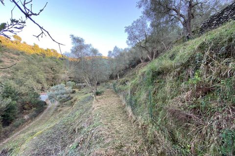 Helårsgrund i Albenga, Savona, Albenga - € 60.000 | Ref: 856 - foto 35