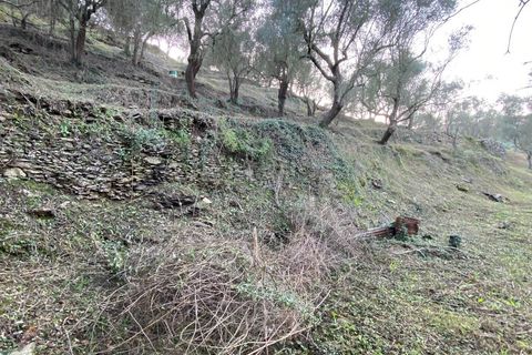 Helårsgrund i Albenga, Savona, Albenga - € 60.000 | Ref: 856 - foto 36