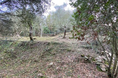 Helårsgrund i Albenga, Savona, Albenga - € 60.000 | Ref: 856 - foto 37