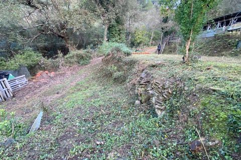 Helårsgrund i Albenga, Savona, Albenga - € 60.000 | Ref: 856 - foto 38